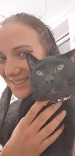 Have you seen the indoor/outdoor cat Bandit from Sunset street?