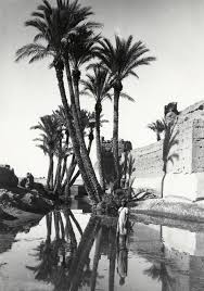 Boutique Maison De Le Photographie De Marrakech