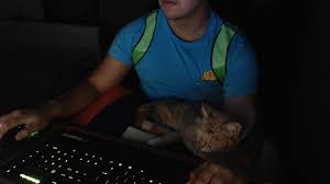 Viprin On Twitter Gamer Cats are surrounded by myth protect your cat! twitter