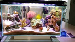 Mars Aqua 300 Watt Led Modification Mylife Fish Tank Cool Fish Tanks Saltwater Aquarium