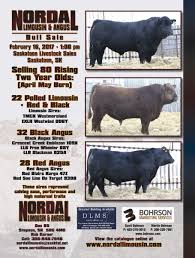 Cattle Sale Ad Inspiration Two Year Olds Black And Red Livestock