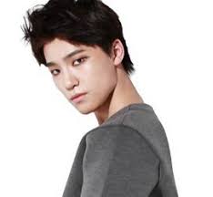 The group consists of 13 members: Lookaside Fbsbx Com Lookaside Crawler Media Me