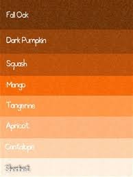 Orange is the perfect hue to add vibrance to your bathroom, warm up your living room, and add a colorful pop to your bedroom. Image Result For Best Burnt Orange Paint Color Orange Paint Colors Orange Color Palettes Burnt Orange Paint