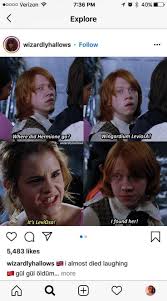 42 Snapshots That Made History Everything You Are Looking For In 2020 Harry Potter Goblet Harry Potter Characters Harry Potter Puns