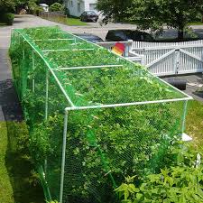 Our lighter duty bird netting is perfect for. Garden Netting Anti Bird Protection Net 4m X 10m 13ft X 33ft Green Garden Plant Netting Fruit Trees Netting With 20 Tacks And 50 Ties Amazon Ae Patio Lawn Garden