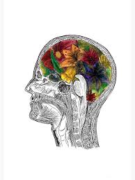 Mri Brain Flowers Neuroscience Art Medical Art Metal Print By Terouz Neuroscience Art Medical Art Anatomy Art