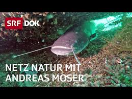 Publikationen aus dem bereich landwirtschaft berichte, broschüren, faltblätter. Landwirtschaft Ohne Pestizide Netz Natur Mit Andreas Moser Doku Srf Dok Litetube