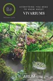 Vivarium The Ultimate Guide How To Build Bantam Earth Vivarium Fish Tank Planted Aquarium