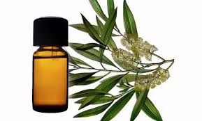 Apakah ketiga obat tersebut dapat dikonsumsi secara bersamaan untuk mengurangi. Ramuam Alami Untuk Mengobati Bengkak Akibat Keseleo