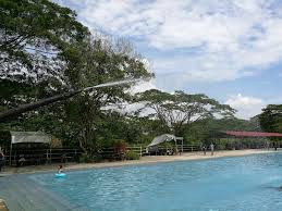 Kuah (kedah) bidur (perak) 291.59: Rantau Eco Park