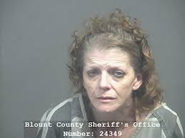 Martin, Tammy Sue Charges: ARREST WARRANT SERVED FOR ANOTHER COUNTY  VIOLATION OF PROBATION This information and more is available at https://  apps.myocv.com/share/a95737804