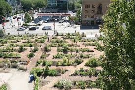 The Many Flavors Of Urban Farming Urban Farming Urban Garden Community Gardening