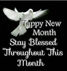 One month brings you the best online coding courses designed specifically for beginners. 10 Happy New Month Ideas New Month Happy New New Month Wishes