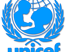 Dans ce sens, giovanna barberis, représentante de l'unicef maroc, indique : Child Protection Officer No2