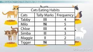 Frequency formula in excel below is the frequency formula in excel : How To Make A Frequency Distribution Table Video Lesson Transcript Study Com