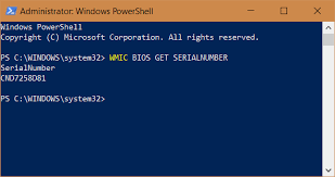 What Is The Serial Number Of My Windows Pc, Laptop, Tablet, Etc? | Digital  Citizen