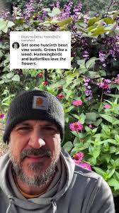 Replying to @Becky Hontz262 #greenscreen #iowa #iowachill #oldtime  #plantsandchill #gardening #growyourfood #garden #sustainability  #nomorelawns #horticulture #plantgeek #indoorgarden #houseplant ...