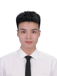 Robust and Convergent Distributed Cooperative Localization with Labelled  Bernoulli Random Finite Set