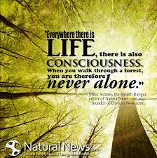 Image result for conscious living quotes