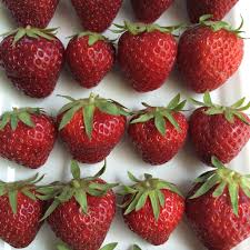 Check spelling or type a new query. Hjf Shares Organic Csa Exceptional Produce Local Products