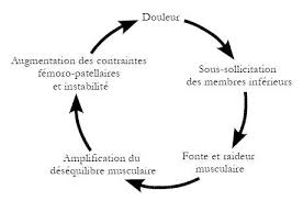 Commencez par réaliser 3 à 5 séries de 30 secondes, sur . Guide Syndrome Rotulien Bouge Tes Genoux