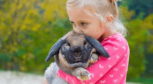 Foreign language and asl interpretation services. Pocket Care Near Me 04474 River Road Veterinary Hospital