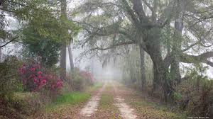 We did not find results for: 3 500 Acre Antebellum Georgia Plantation Hits Market For 13 3m Slideshow Atlanta Business Chronicle