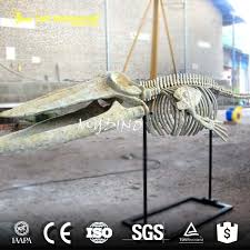 Free delivery and returns on ebay plus items for plus members. Life Size Fiberglass Artificial Whale Skeleton Model