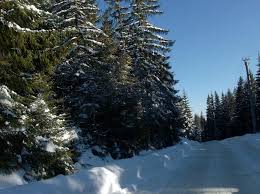 In baisoara lapovitzea, mai spre cluj ploua. Din Cluj La Cetatea Liteni Si La Statiunea Baisoara Tara Dacilor