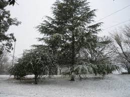 A 14 años del último temporal de nieve que se dio el 9 de julio de 2007 en buenos aires, los habitantes de córdoba amanecieron esta mañana de frío con las zonas de la capital y gran parte del territorio de la provincia vestidas de blanco por la nieve. Nevadas En Argentina Del 22 De Julio De 2009 Wikipedia La Enciclopedia Libre