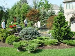 Cultivars Of Dwarf Evergreens Conifers Garden Shade Landscaping Garden Design