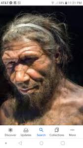 Neanderthals inhabited Eurasia from 40,000 years ago