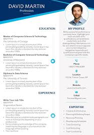 Professional Cv Template With Educational Details And Professional Skills Powerpoint Templates Download Ppt Background Template Graphics Presentation