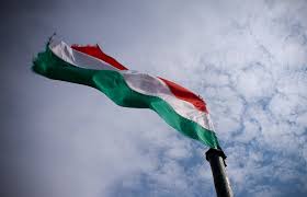 In 1990 hungary's national assembly restored the traditional coat of. History Meaning Color Codes Pictures Of Hungary Flag