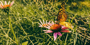 Capture the Moments: Single Parent Family Park Day