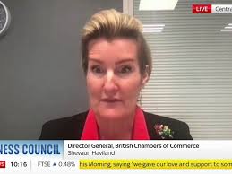 BCC: New business lobby group not competing with CBI