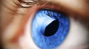 Einige bekommen auch rote und entzündete bindehäute (konjunktivitis), reagieren empfindlicher auf licht und haben geschwollene augen. Augen Tun Weh Wenn Sie Aufrollen Mogliche Krankheitsursachen Verletzung Oder Fremdkorper