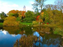 Das Andere Holland Www Buchen Holland De Urlaub Niederlande Ferien Familienurlaub Ausflug Kurzurlaub Holland Netherlands Beautiful Places Netherlands