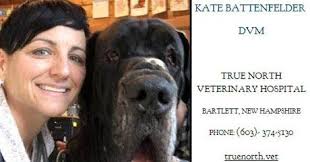 Four legged friends (and enemies): New Hampshire: Veterinarian's signature  contradicts medical exams