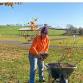 Riparian Buffer Restoration (Tree Planting) event image