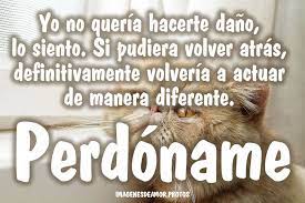 9 Ideas De Perdon Perdonar Frases Perdon Pedir Perdon Frases