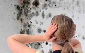 Banyo ortamı olarak küf lekesi oluşumuna oldukça elverişlidir. Banyo Kuf Lekeleri Nasil Cikarilir Etkili Yontemler Ev Dekorasyonu