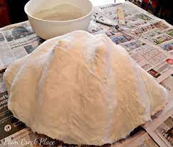 Check out our clam shell large selection for the very best in unique or custom, handmade pieces from our ornaments & accents shops. Diy Giant Clam Shell And Sunrise Seashell Tablescape Giant Clam Shell Giant Clam Sea Shells Diy