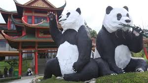 Maybe you would like to learn more about one of these? Sambut New Normal Taman Safari Bogor Akan Kembali Dibuka Dengan Harga Promo