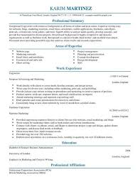 Copywriter Cv Template Cv Samples Examples