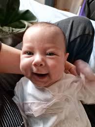 Zofia and Rob Velez-Fenrych Family is fundraising for Tree of Hope