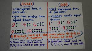 77 Punctual Odd And Even Numbers Anchor Chart