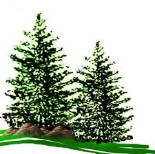 Check spelling or type a new query. Asi Achtenhagen Services Inc Home Facebook