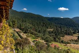 Image result for Marquesia macroura