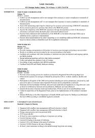 Mds Nurse Resume Samples Velvet Jobs